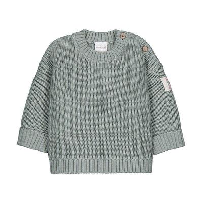 Tricot vert sauge -2367