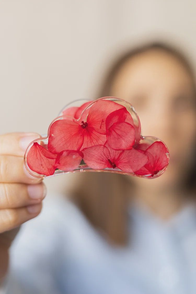 Pince nuage avec fleurs séchées