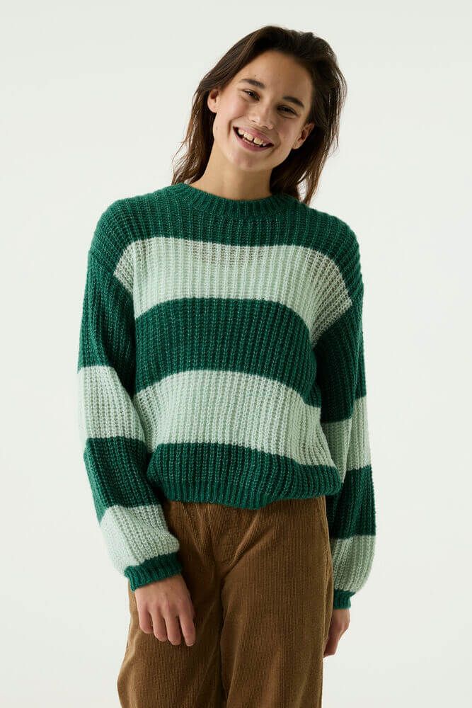 Pull rayé forest leaf 5834