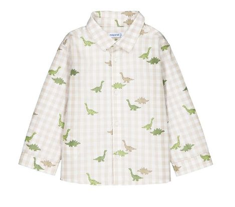 Chemise m/l imprimee 2110