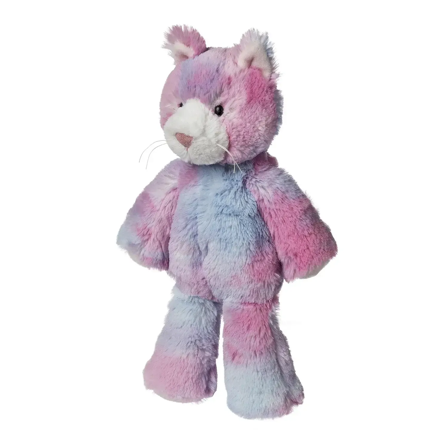 Chat multicolore pelcuhe
