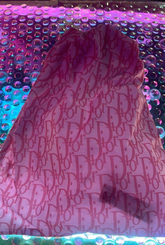 Dior money bag