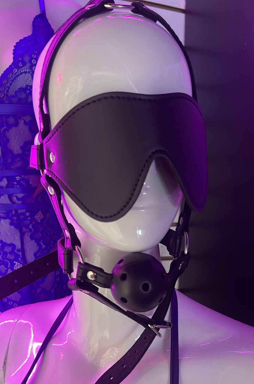 Ball Gag W/ Mask