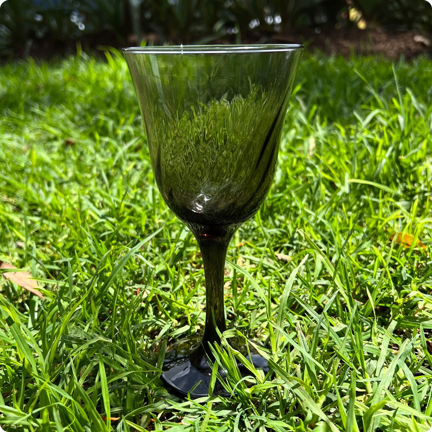 COPA LIRIO 240 ML