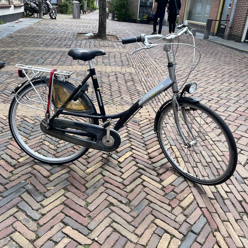 Batavus Entaurama Damesfiets | Gebruikt | 57 framemaat