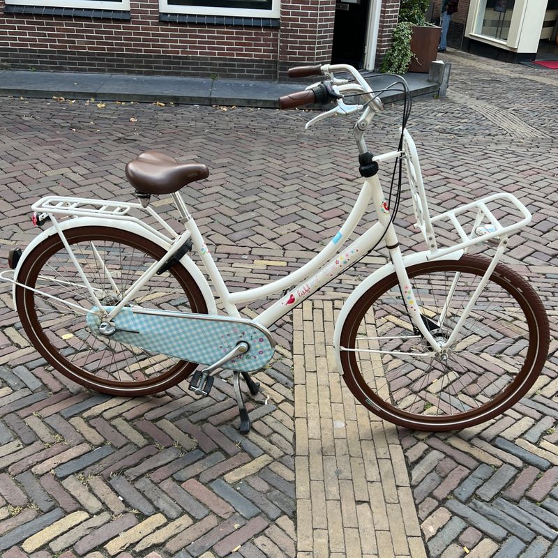 Cortina Lief Damesfiets Transport | NIEUWE BANDEN!