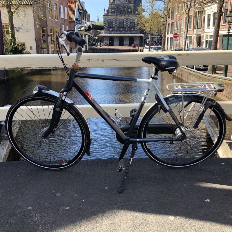 Gazelle Eclipse Limited Edition Herenfiets | Nette Staat
