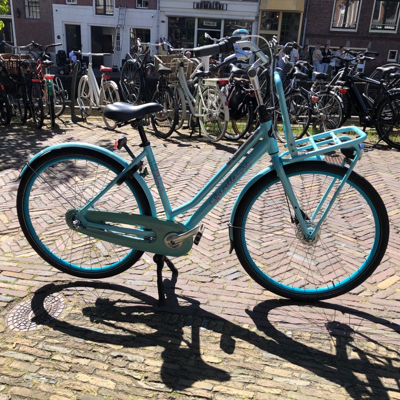 Gazelle Miss Grace Damesfiets Blauw Transporter | ZGAN !