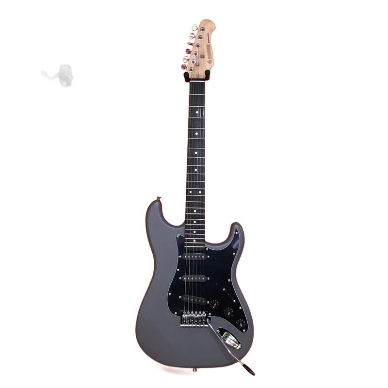 Donner Standard Series Elektrische Gitaar | ZGAN !