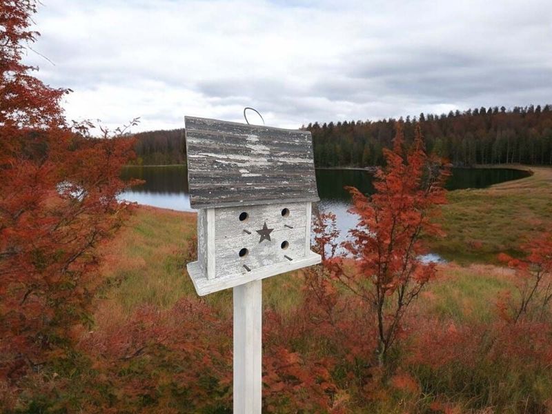 Rustic Farmhouse Birdhouse "The Original"