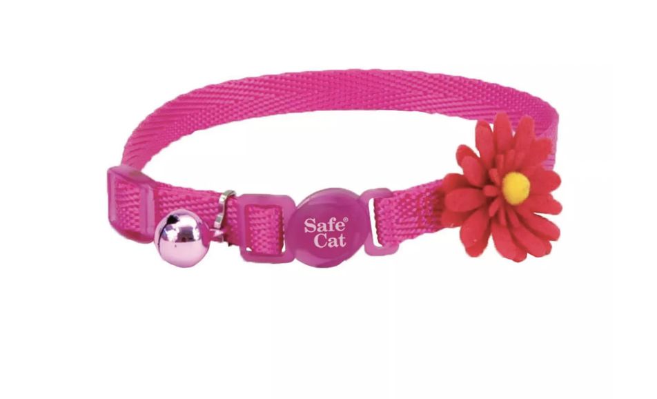 Coastal SafeCat Fashion Breakaway Cat Collar - Pink