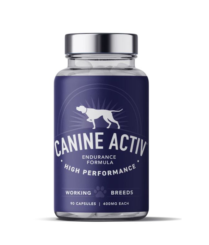 Canine Activ High Performance- Endurance Formula