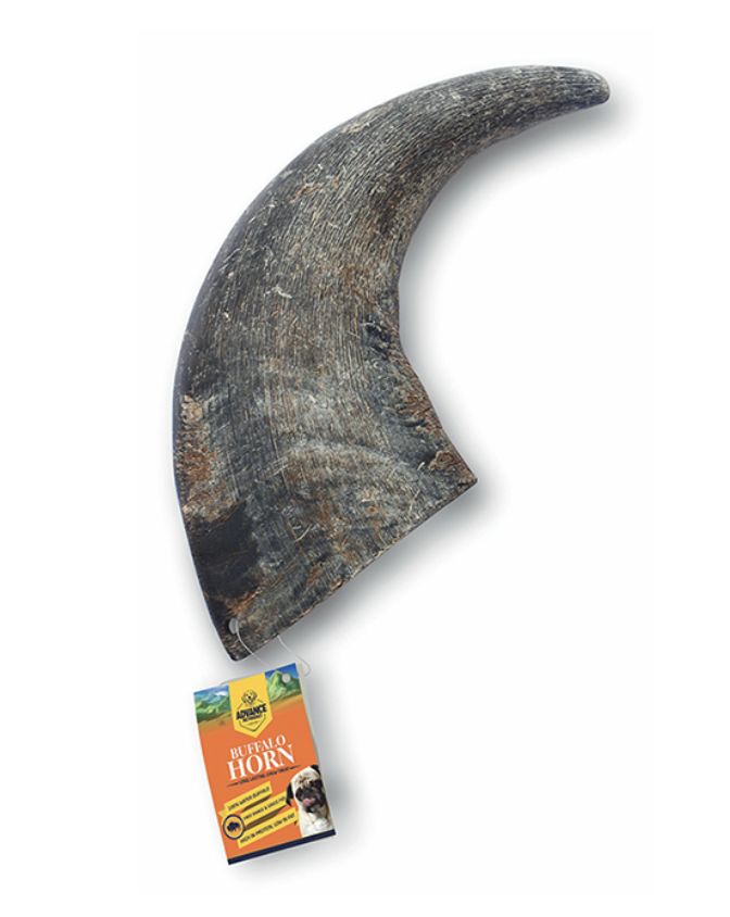 Advance Pet Products Water Buffalo Horn Jumbo