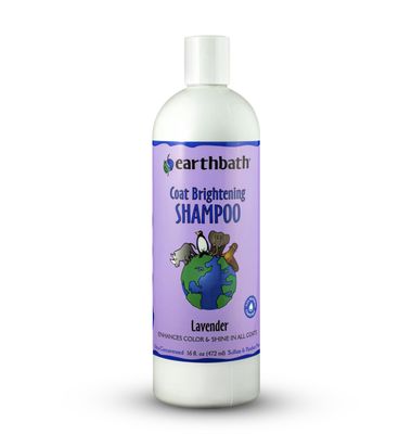 Earthbath Coat Brightening Shampoo 16 oz