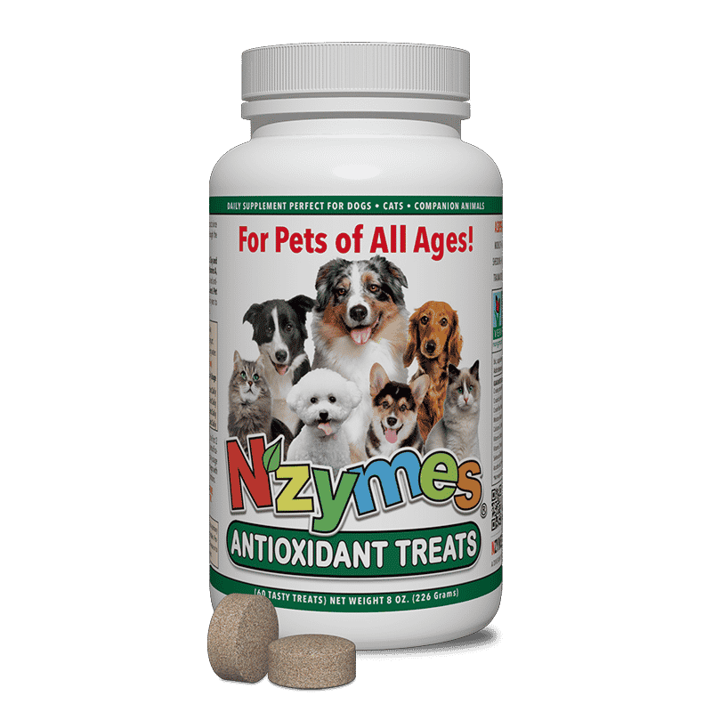 Nzymes Antioxidant Treats 60 Tasty Chewable Treats