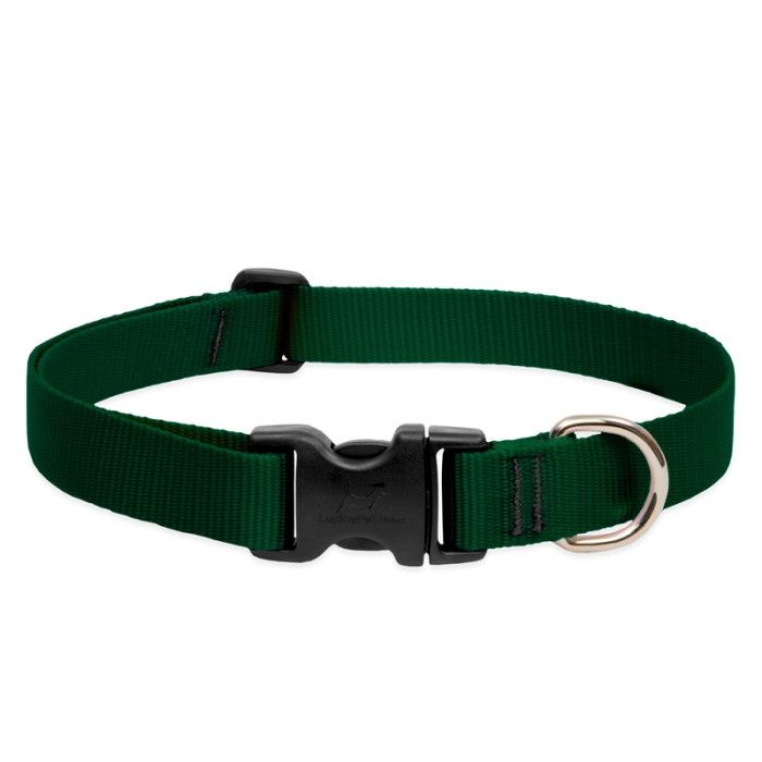 Lupine Basics 1in Adjustable Green 12-20in