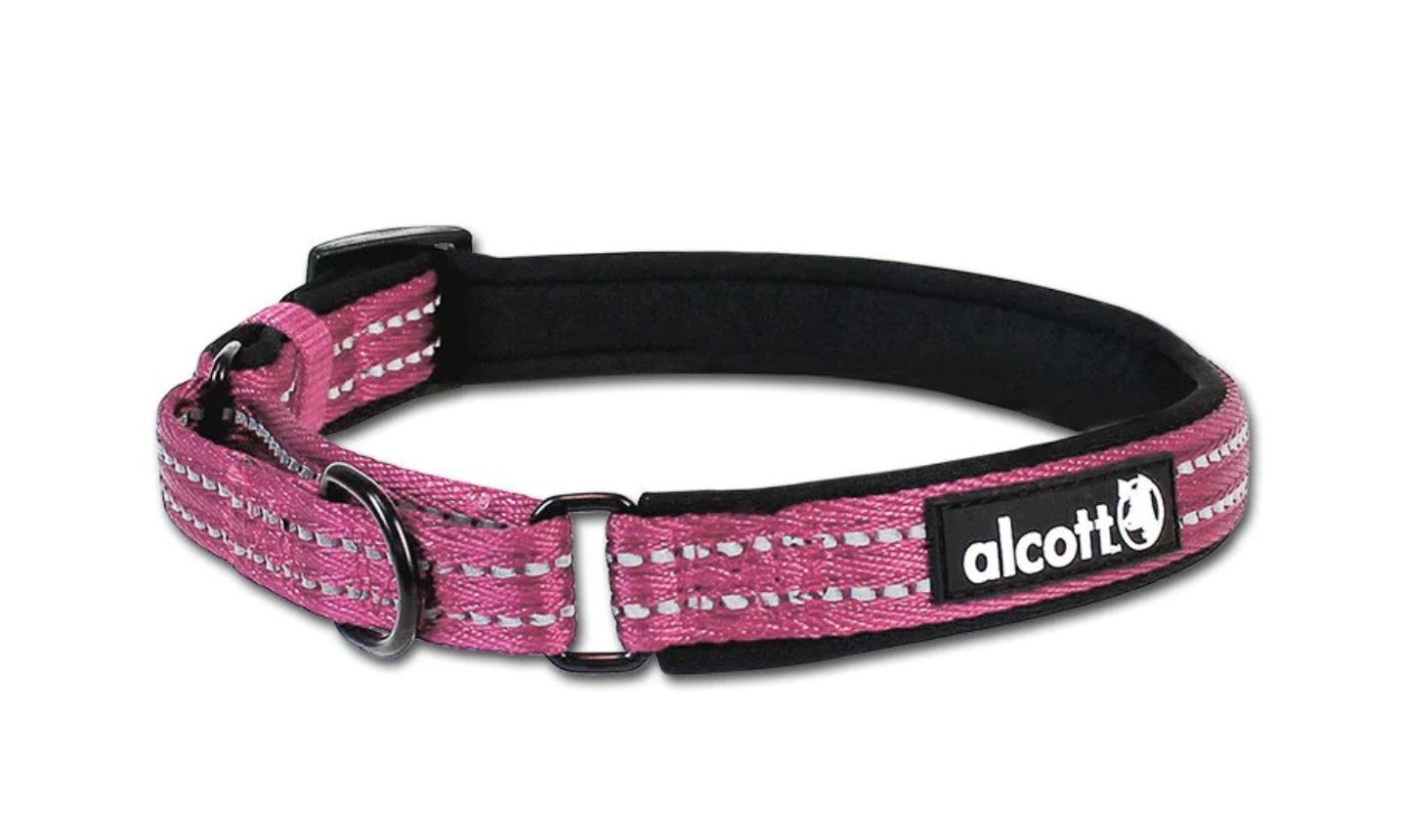 Alcott Martingale Dog Collar Pink - Medium