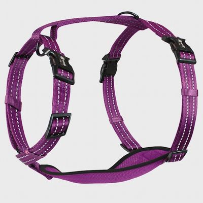 Alcott Adventure Dog Harness Purple - Large