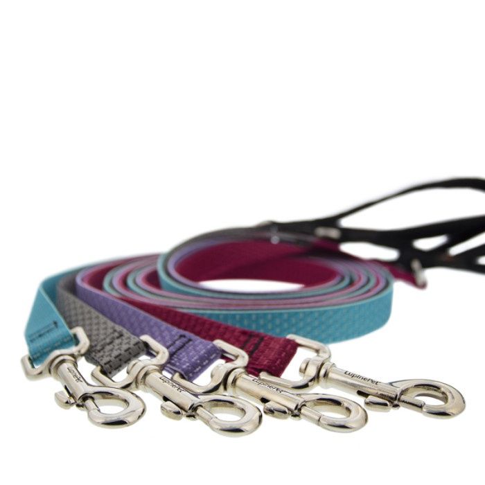 Lupine Eco 6ft Leash Berry 3/4inch