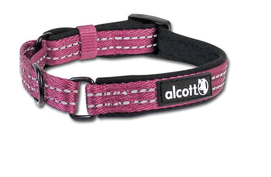 Alcott Martingale Dog Collar Pink - Small