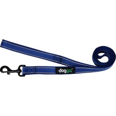 Doggo Everyday Nylon Leash Blue 5&#39;