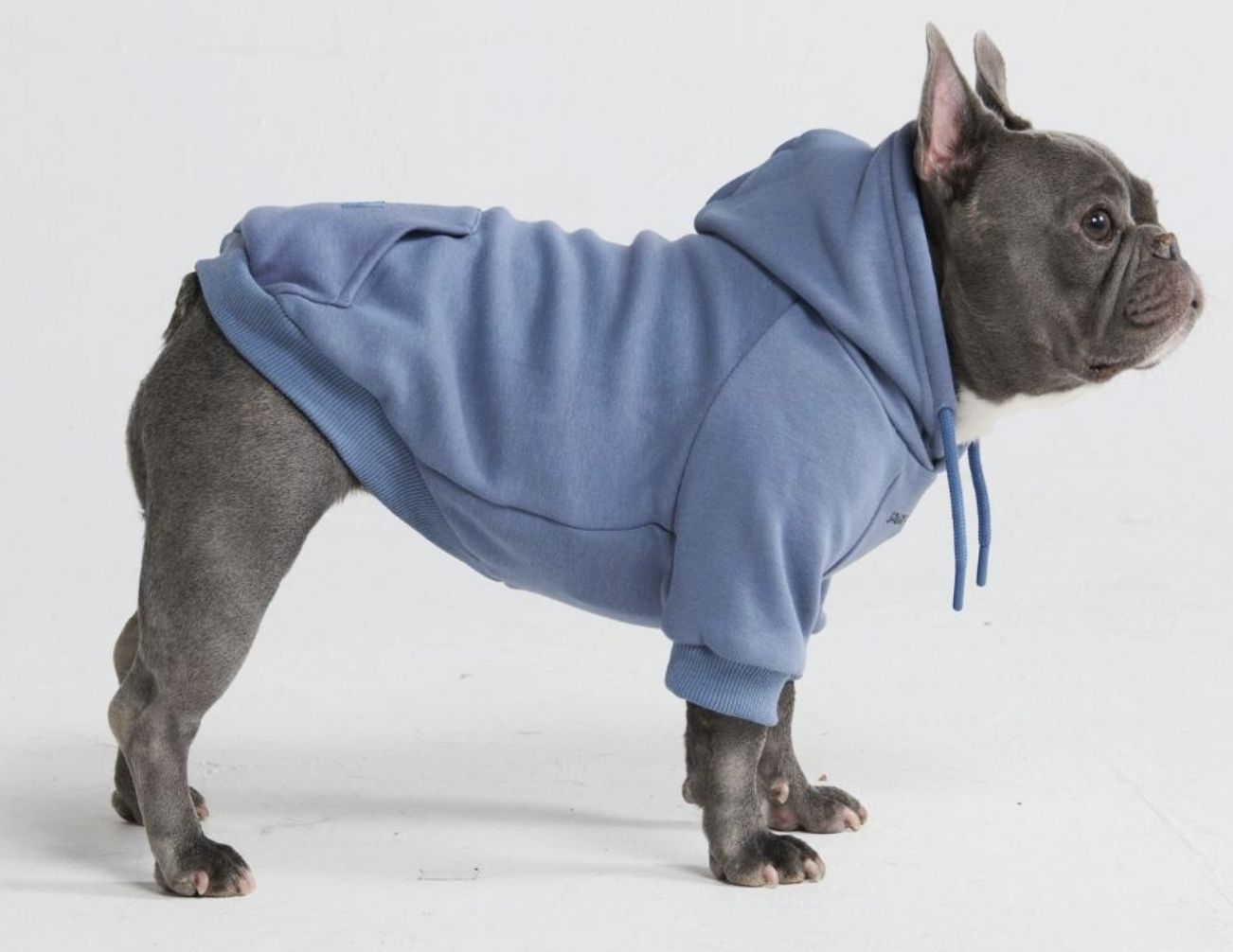 Spark Paws Slate Blue Dog Hoodie - XL