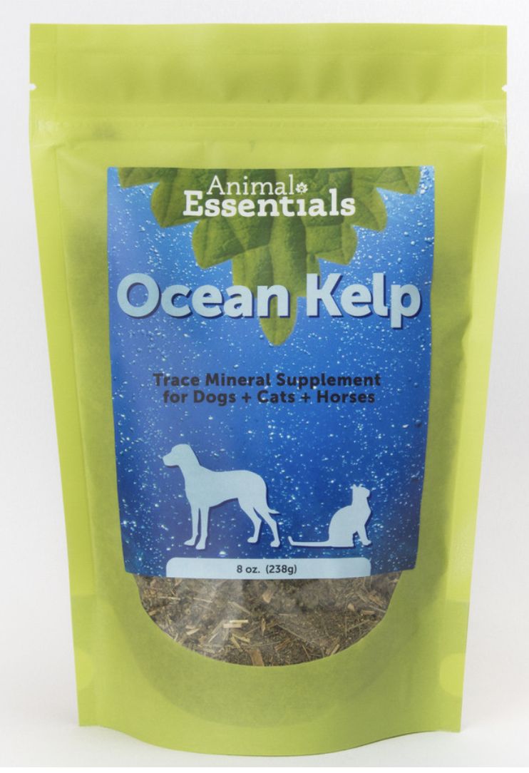 Animal Essentials Ocean Kelp 24oz
