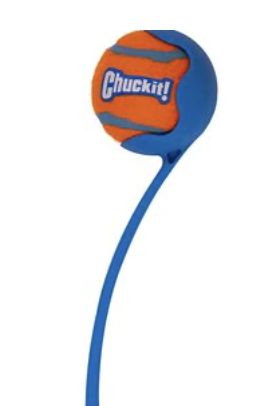 Chuckit! Sport Ball Launcher Medium 12&quot;