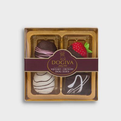 Fabdog Dogiva Box of Chocolates Toys