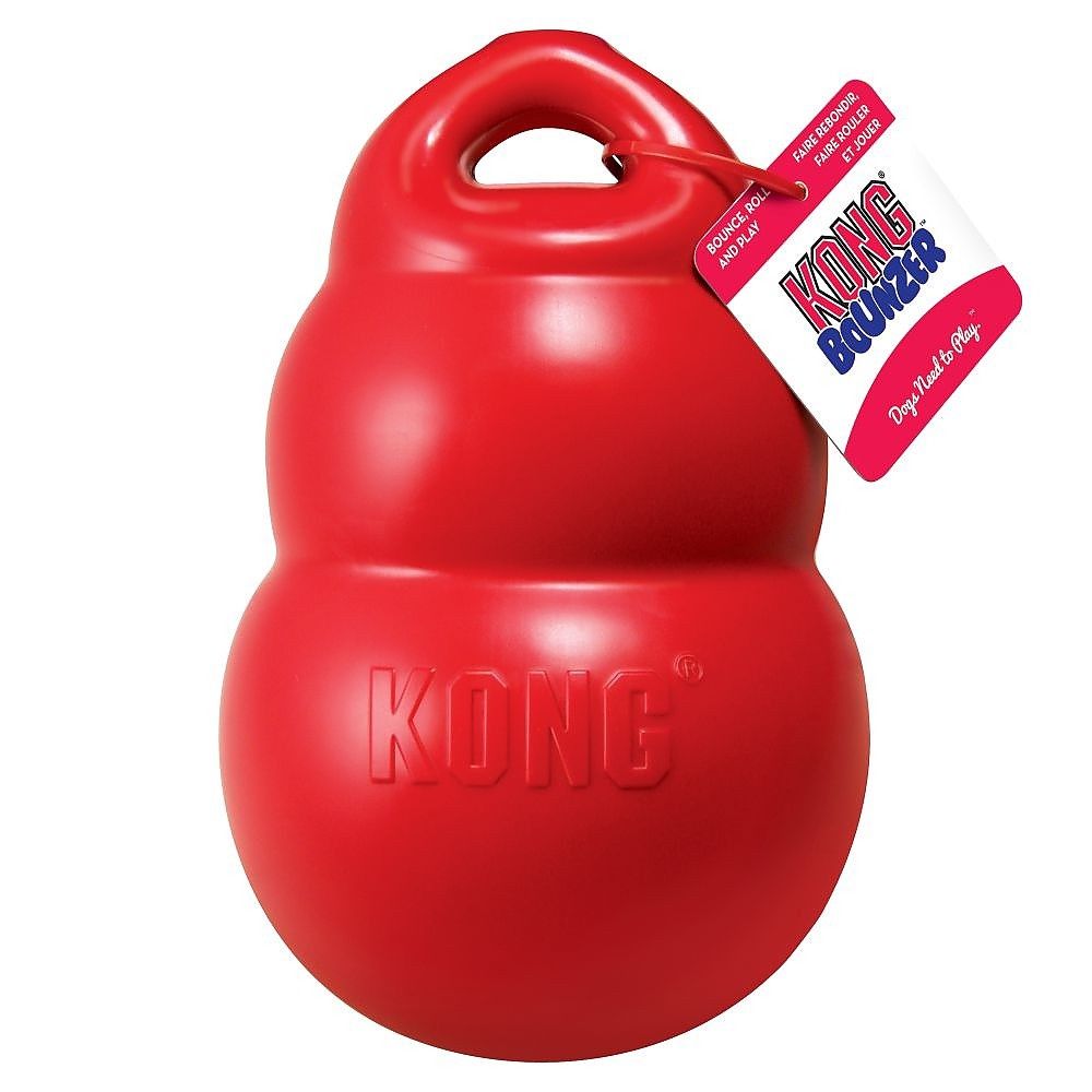 KONG Bounzer Toy