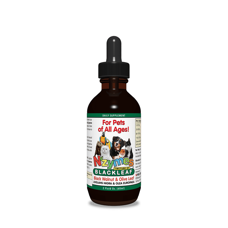 Nzymes Tincture of Blackleaf for Pets 2oz