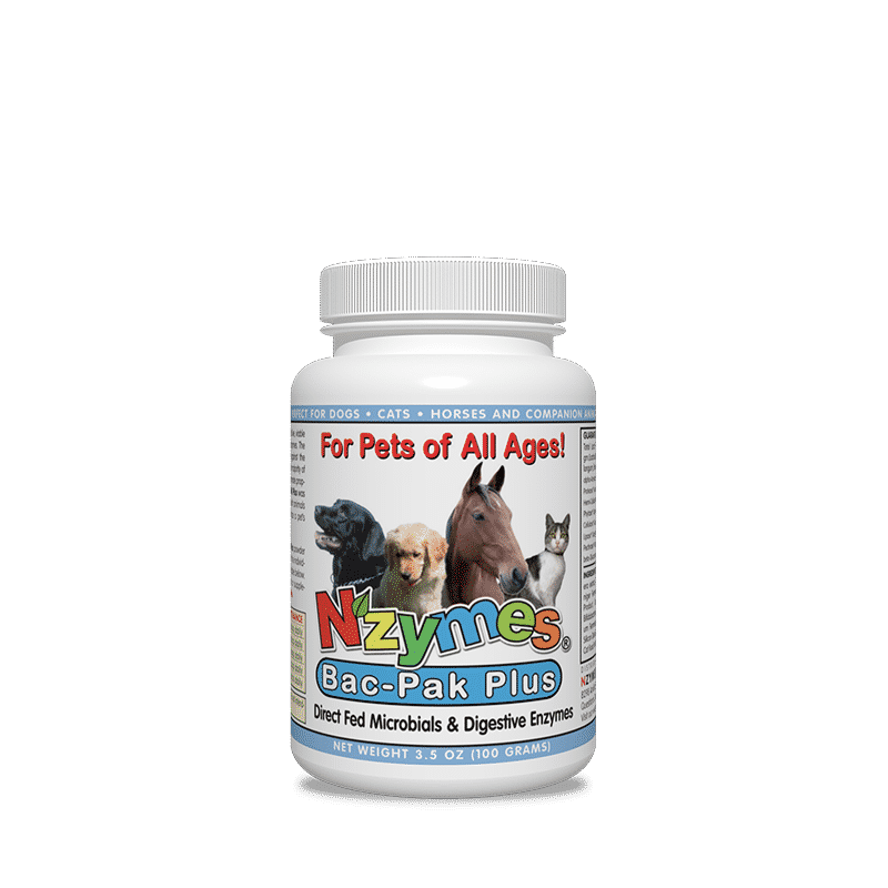 Nzymes Bac-Pak Plus Probiotic and Digestive Enzymes for Pets 100 Grams