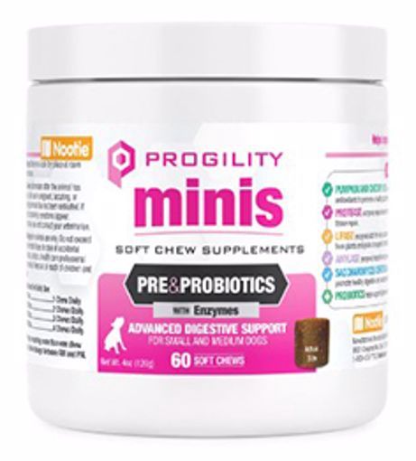 Nootie Progility Pre &amp; Probiotics Mini Soft Chews 60 Count