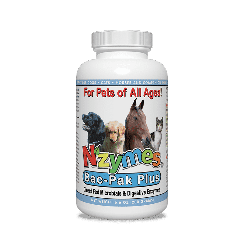 Nzymes Bac-Pak Plus Probiotic and Digestive Enzymes for Pets 200 Grams