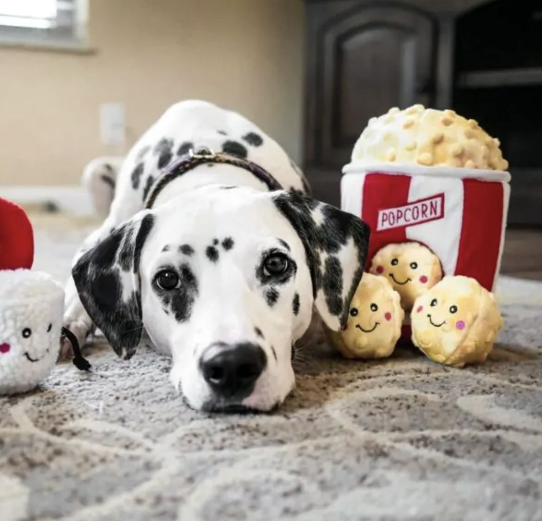 ZippyPaws Burrow Popcorn Bucket