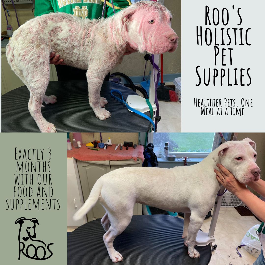Healthy Skin Protocol - Small Dog