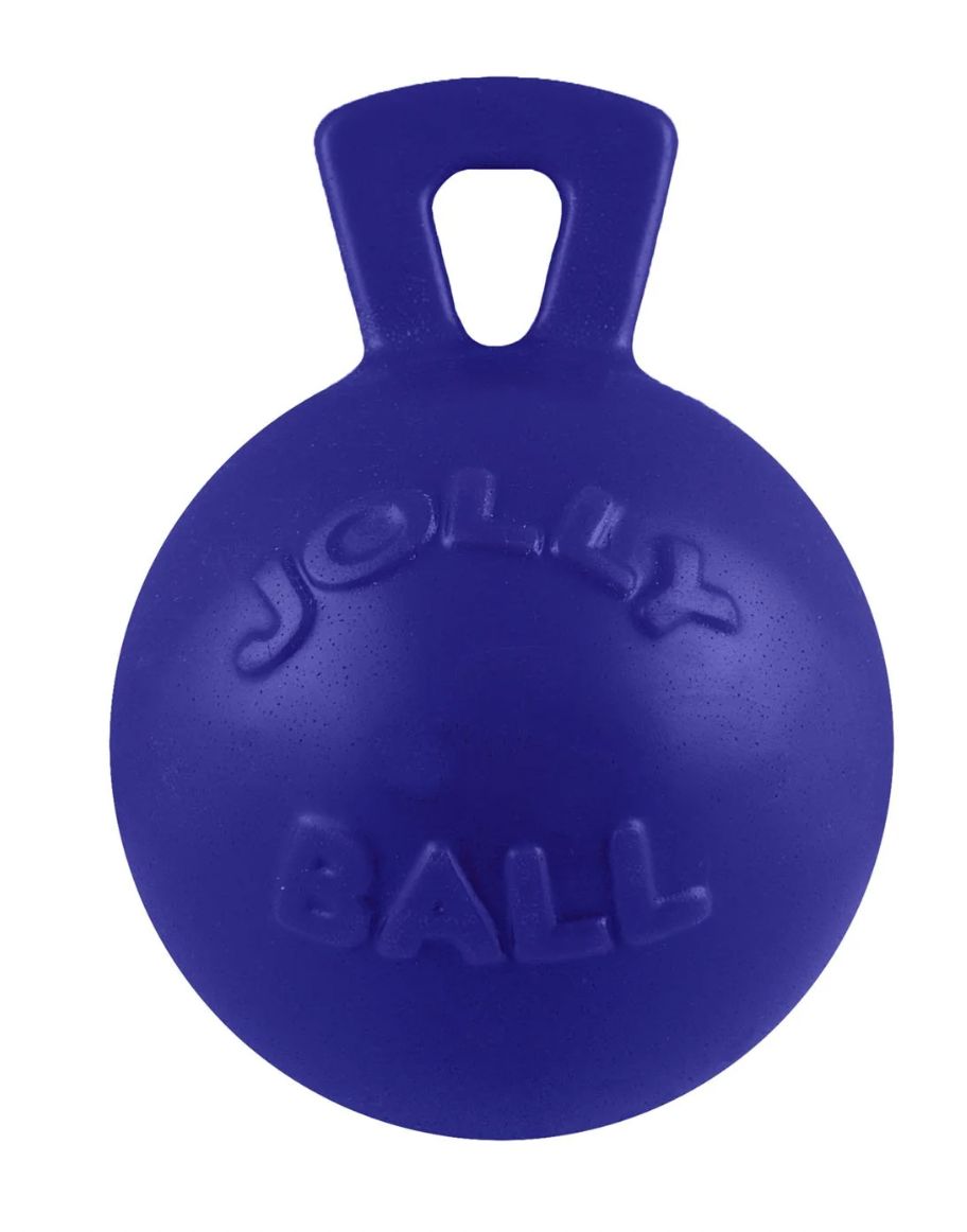 Jolly Pet Blue Tug N Toss 10&quot; Toy