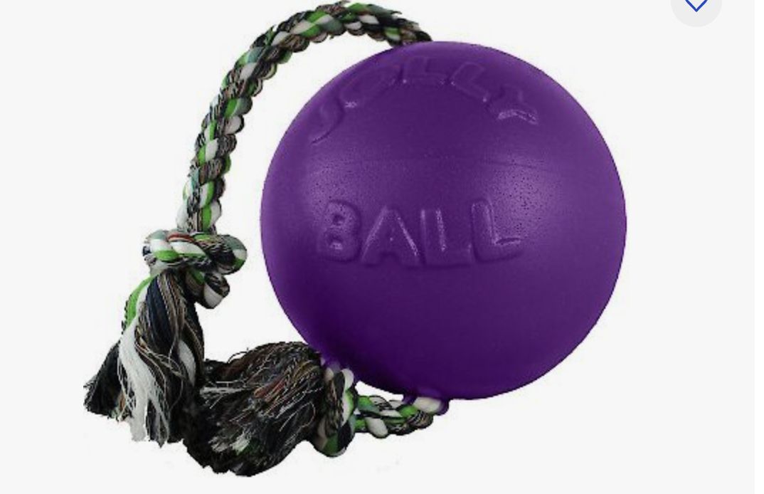 Jolly Pet Purple Romp N Roll Dog Toy 6&quot;