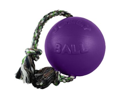 Jolly Pets Romp N Roll Purple 4.5&quot;