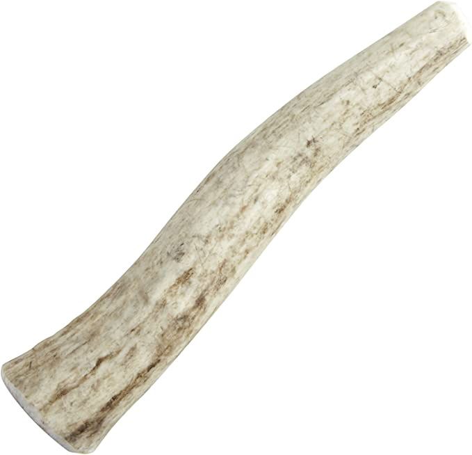Happy Dog Extra Small Whole Elk Antler