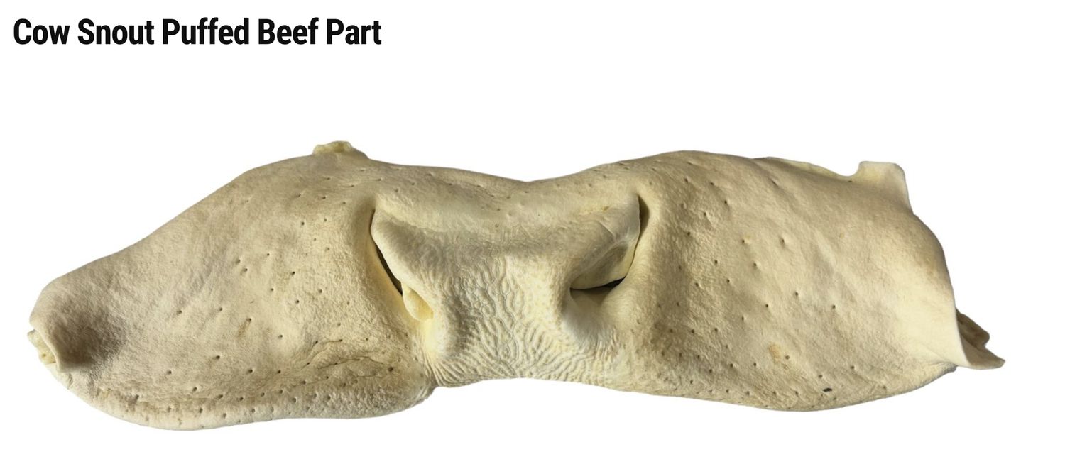 Great Lakes Puffed Cow Snout