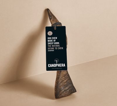 Canophera Sheep Horn - Large