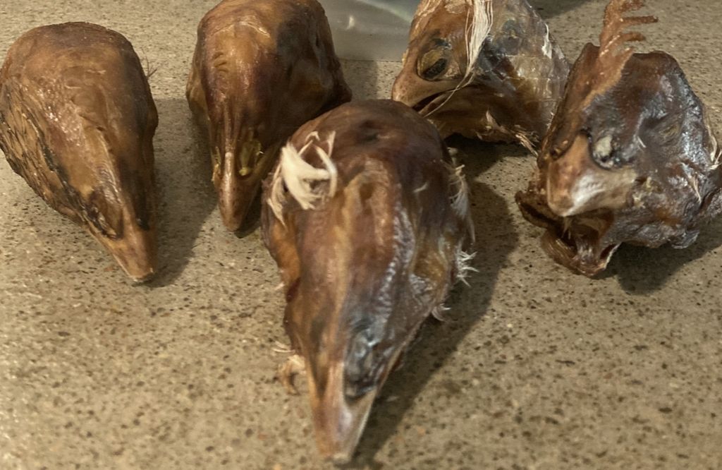 Dehydrated Chicken Head