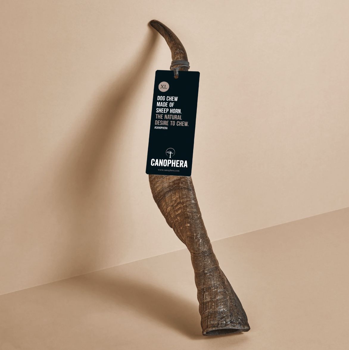 Canophera Sheep Horn- X Large