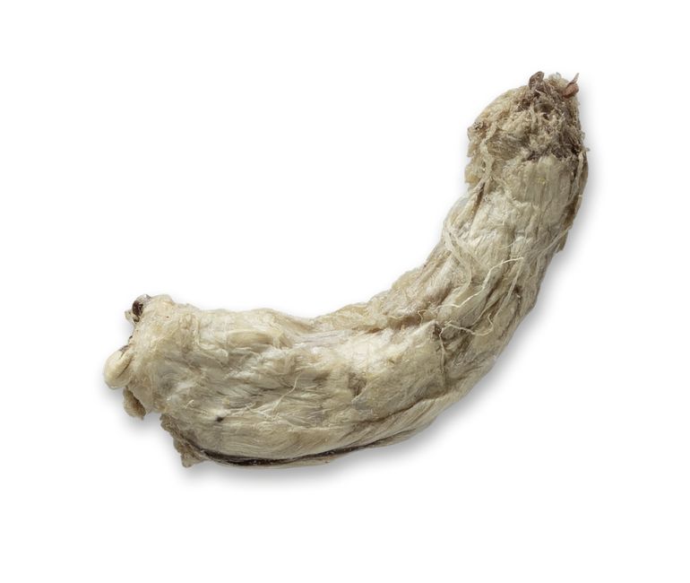 Freeze-Dried Single Chicken Neck