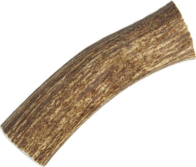 Happy Dog Large Whole Elk Antler
