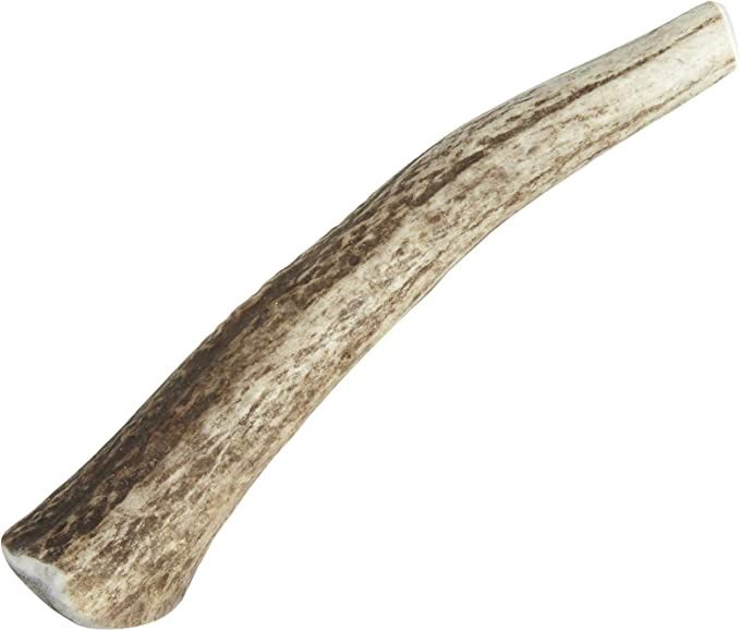Happy Dog Small Whole Elk Antler