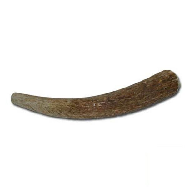 Happy Dog Medium Whole Elk Antler
