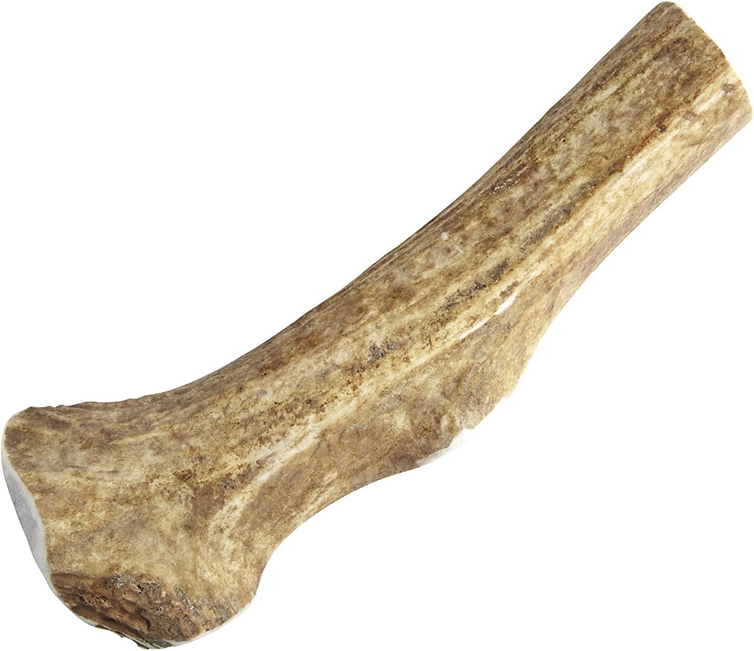 Happy Dog Jumbo Sliced Elk Antler