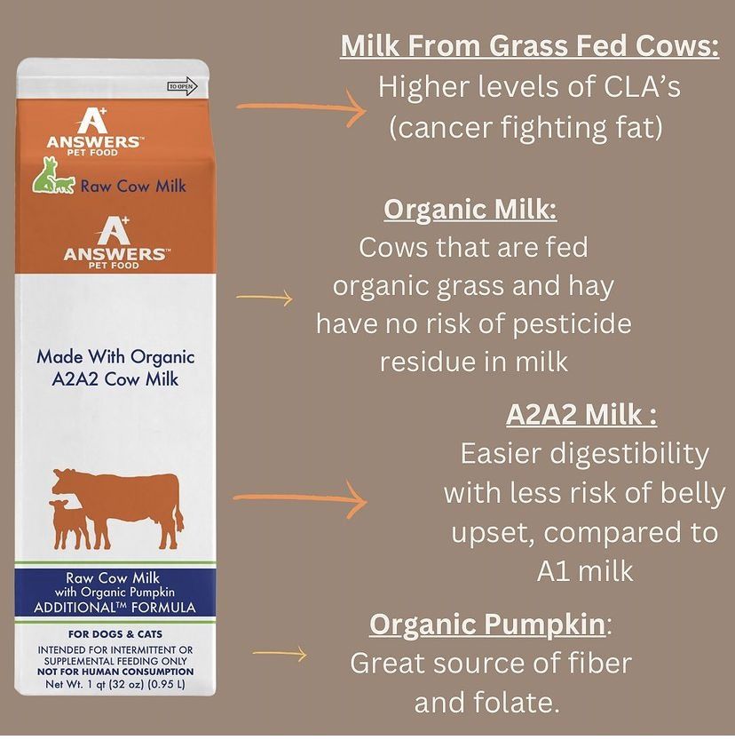 Answers Pet Food Frozen Organic A2 Cow Milk with Pumpkin- Quart